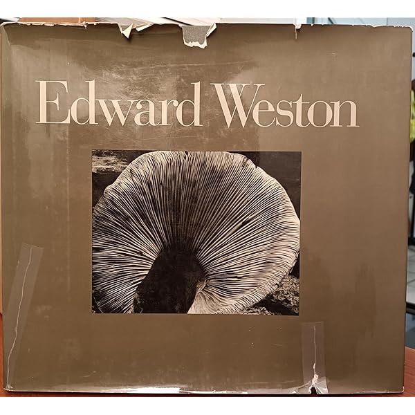 Edward Weston on Photography: Edward Weston, Peter C. Bunnell